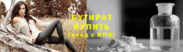 индика Протвино