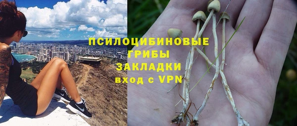 МДПВ Богданович