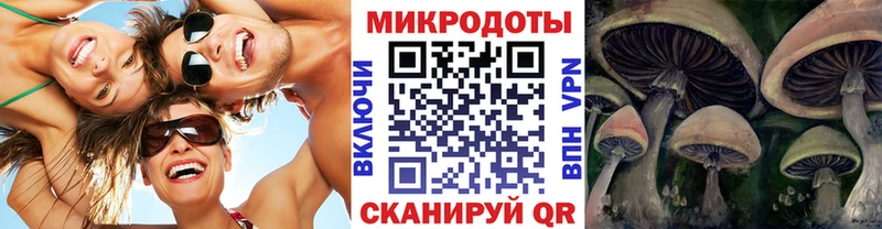 Псилоцибиновые грибы GOLDEN TEACHER  Мыски 